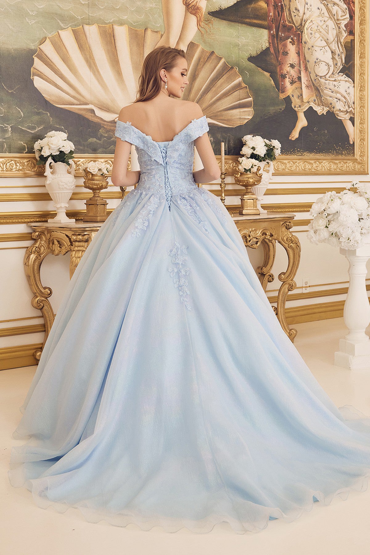 NA25-CU1193 OFF-THE-SHOULDER LACE APPLIQUE BALLGOWN