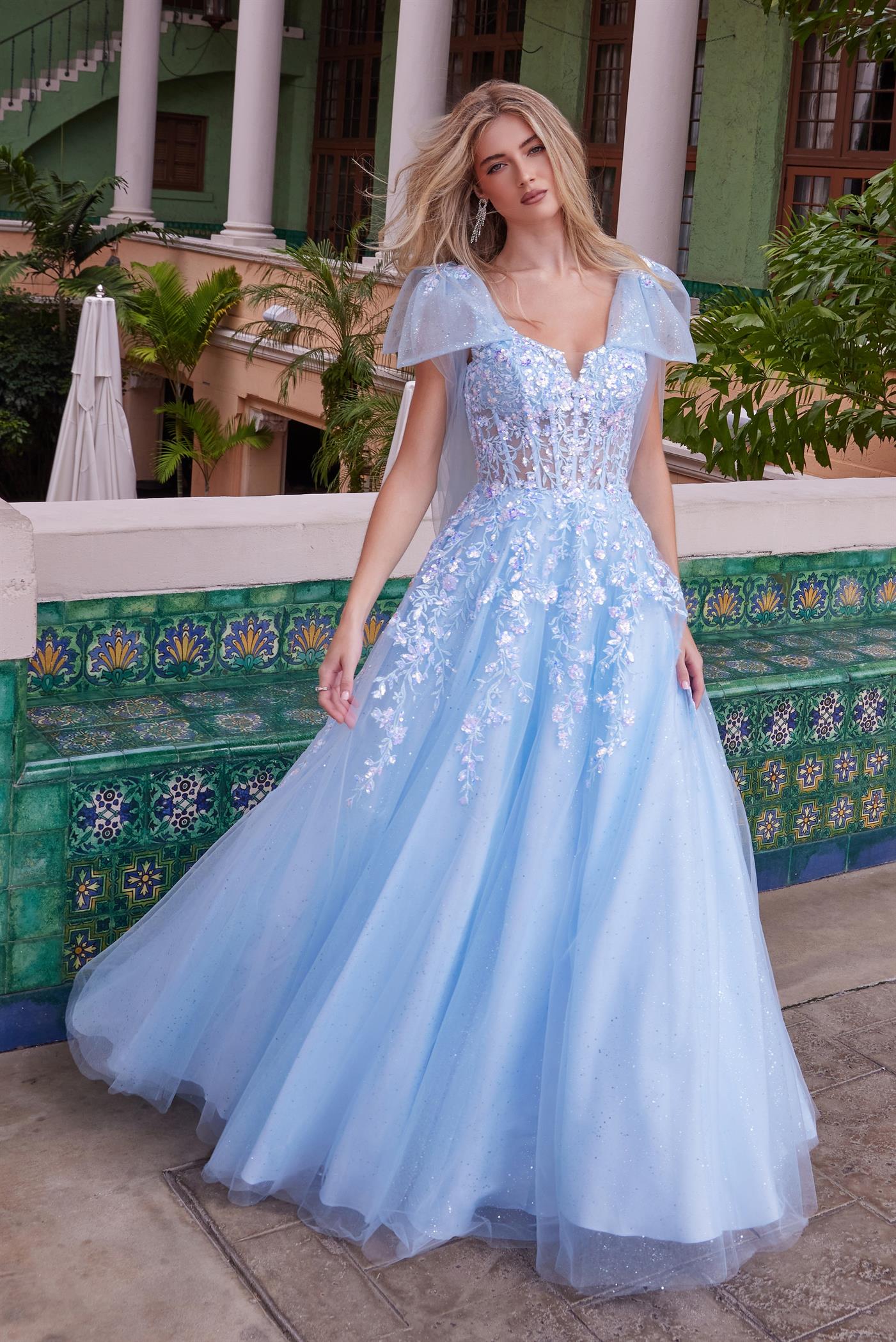 NA25-H1680 A LINE WITH A SHEER BONED WAISTLINE EMBROIDERED APPLIQUE