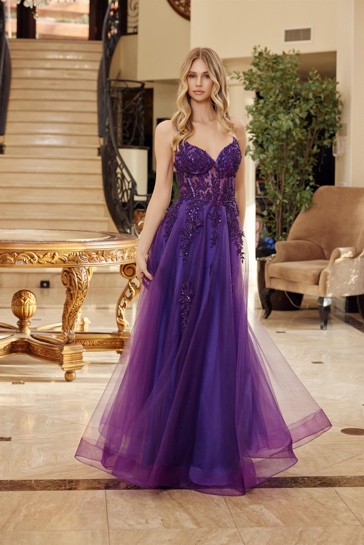 NOX26-Q1778 FIT AND FLARE LONG TULLE GOWN WITH A V NECKLINE THIN STRAPS