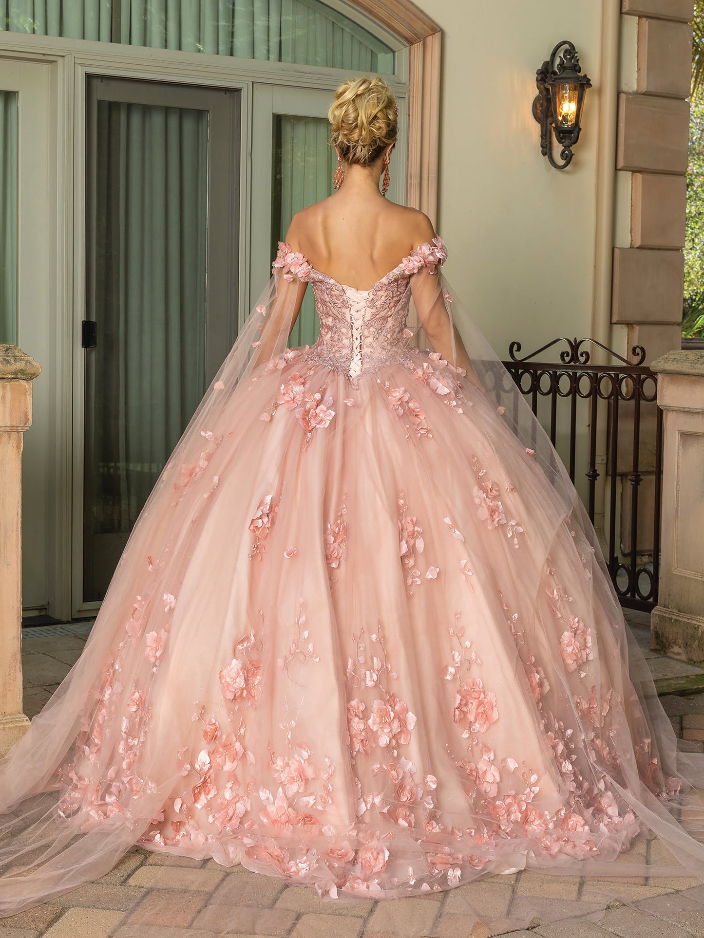 DQ25-1695 EMBROIDERED FLORAL APPLIQUE BALL GOWN WITH SHEER OVERLAY