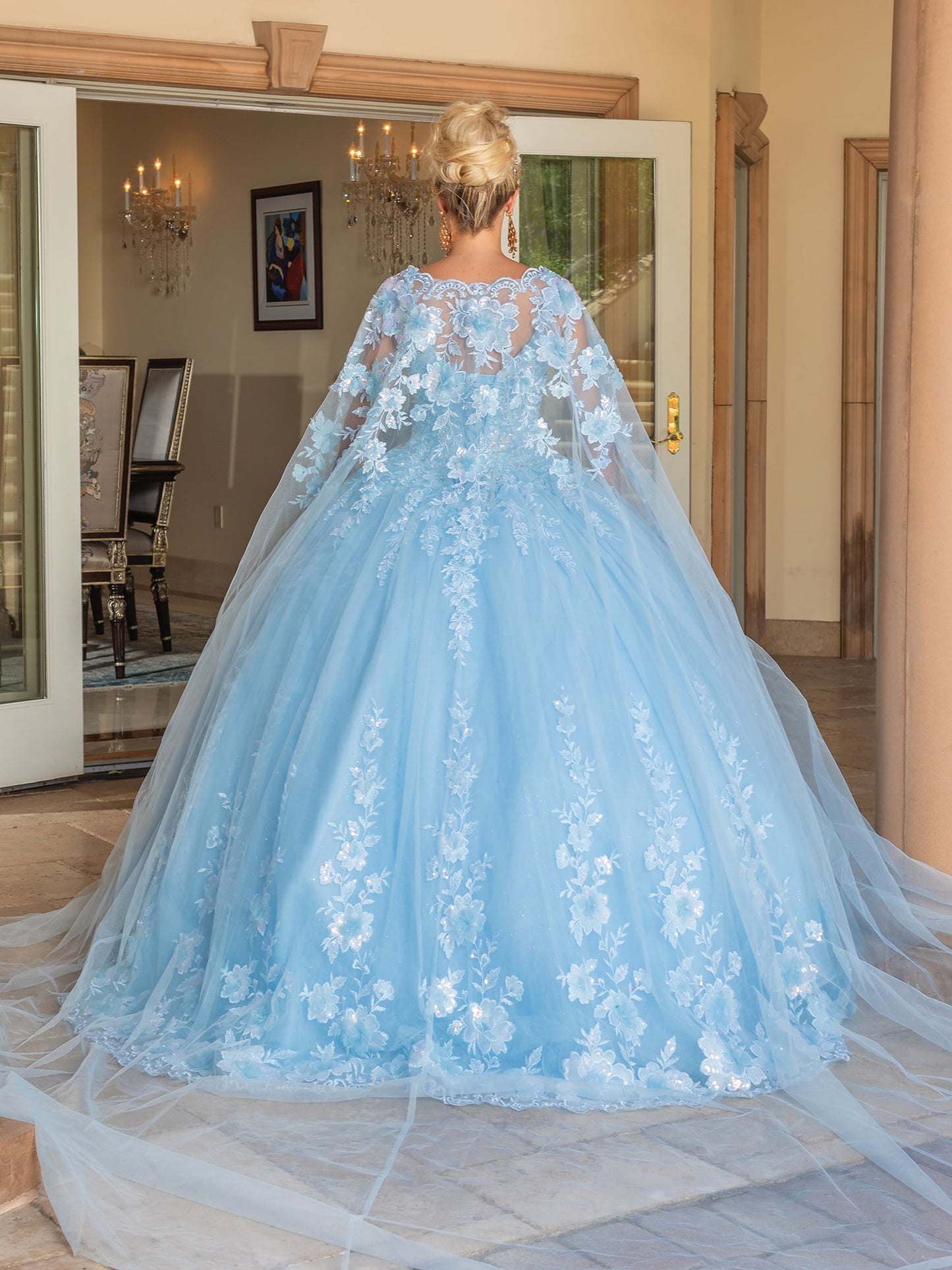 DQ25-1778 LONG-SLEEVED GOWN WITH FLORAL APPLIQUES