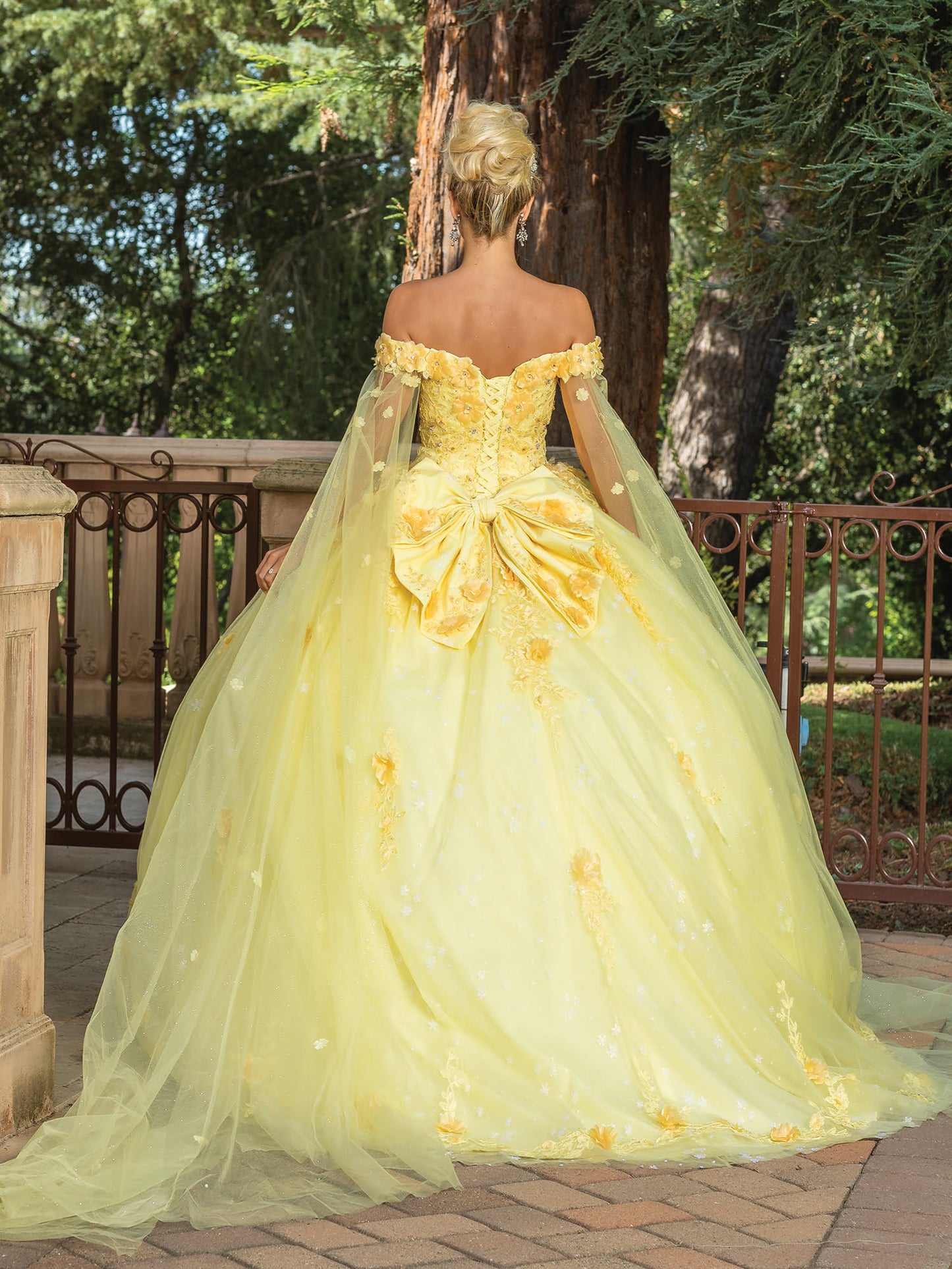 DQ25-1789 OFF-THE-SHOULDER BALL GOWN WITH EMBROIDERED ACCENTS
