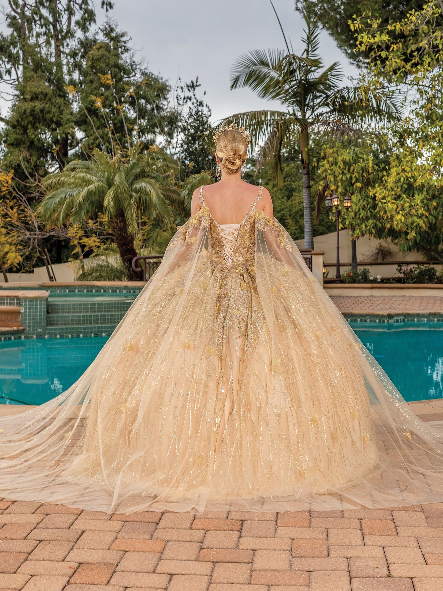 DQ25-1830 EMBROIDERED APPLIQUE BODICE BALL GOWN WITH SHEER SLEEVES