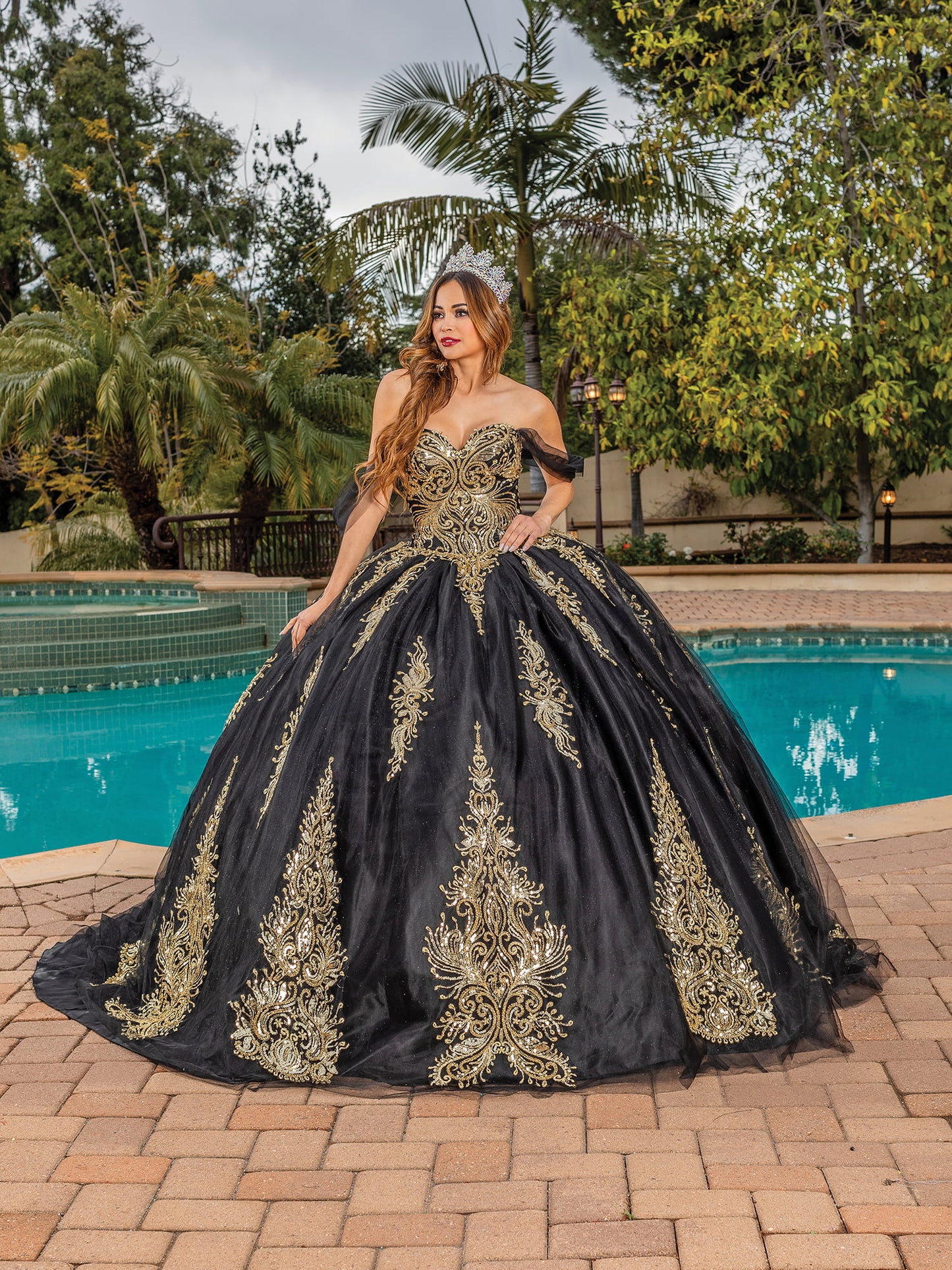 DQ25-1839 EMBROIDERED BODICE BALL GOWN WITH SHEER LONG SLEEVES