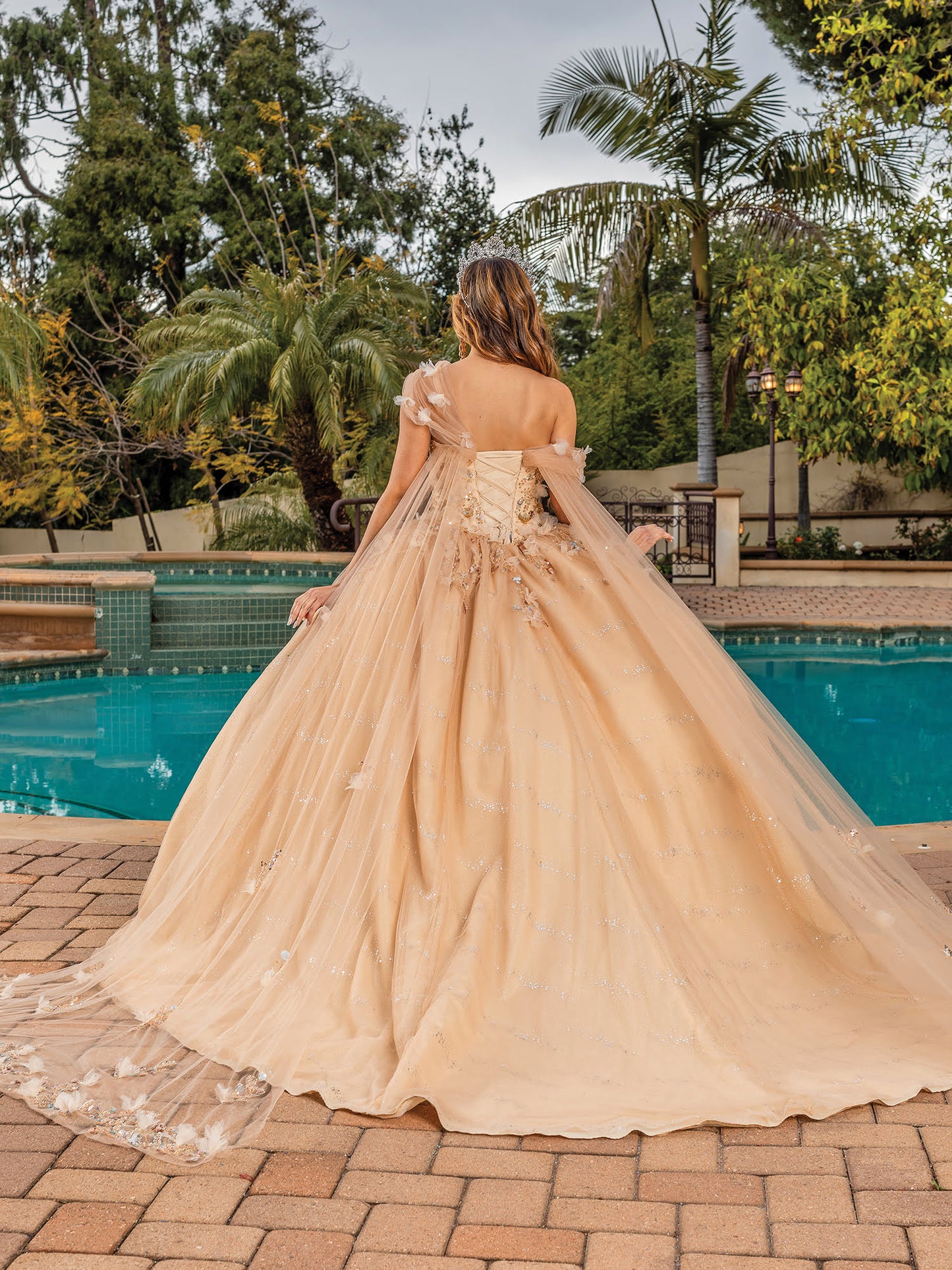DQ25-1844 LACE-UP BACK TULLE BALLGOWN WITH BEADED APPLIQUES AND SHEER PUFF SLEEVES