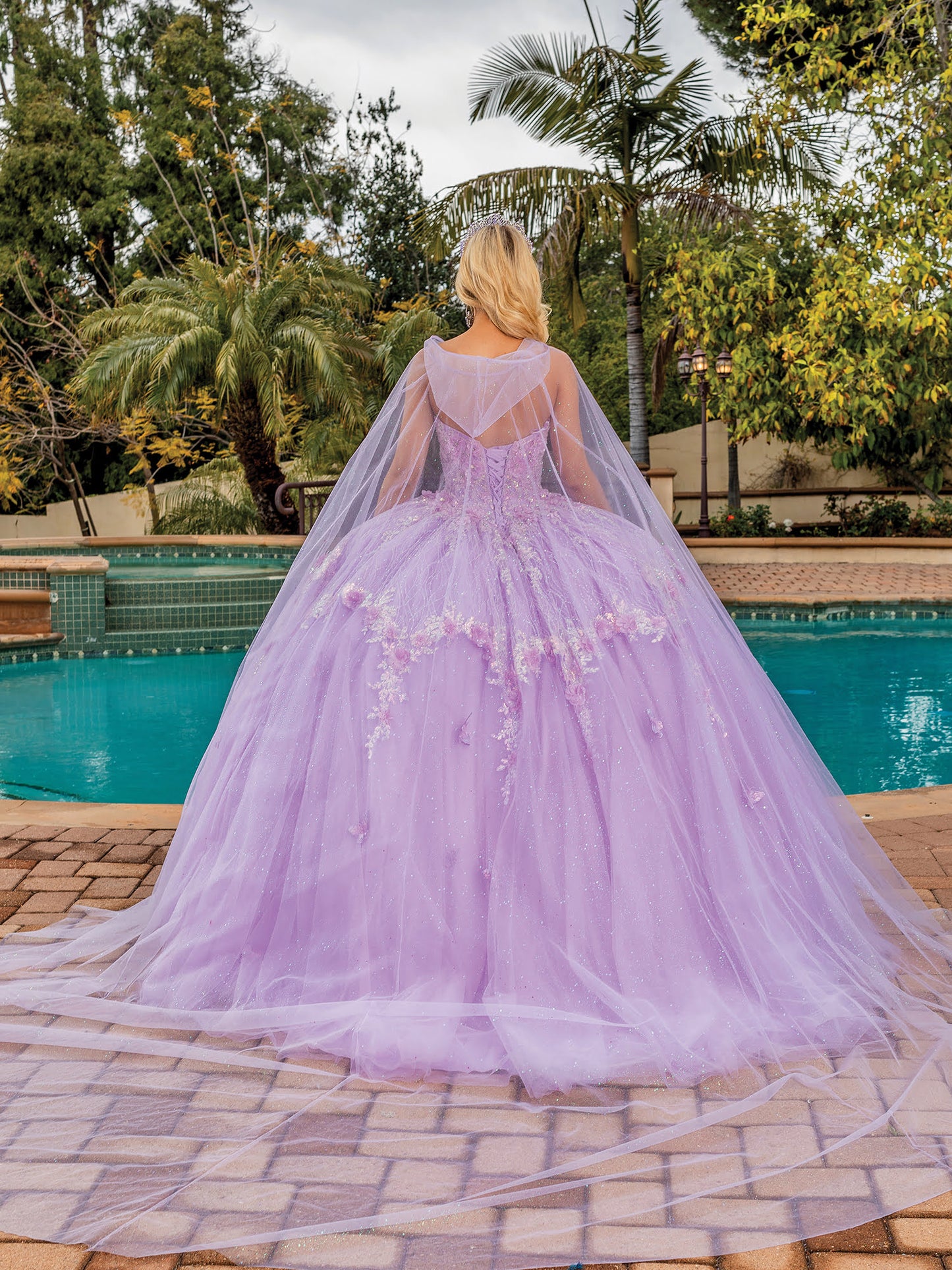 DQ25-1858 SHEER SLEEVED BALLGOWN WITH FLORAL APPLIQUES AND BEADED BODICE