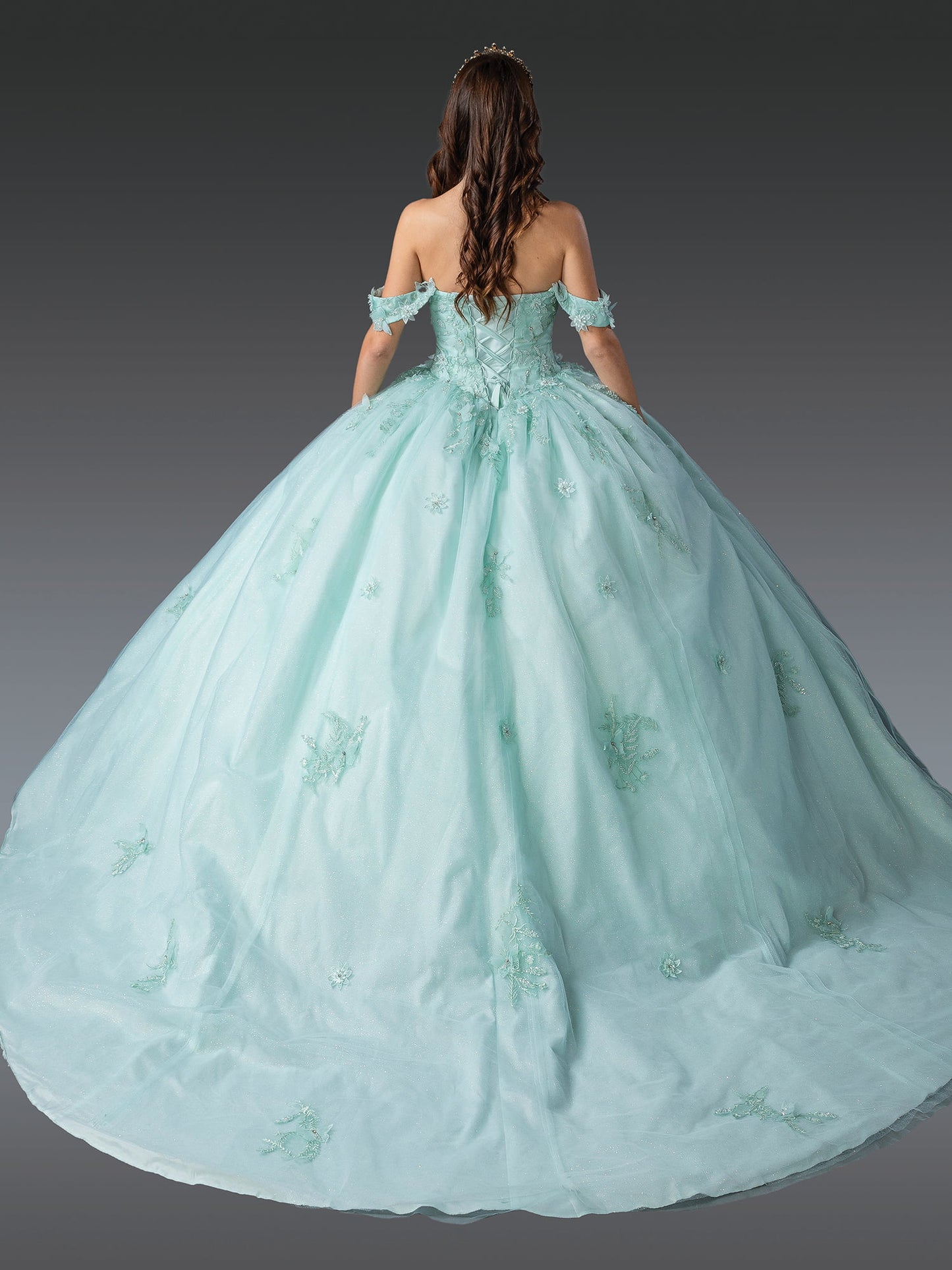 DQ25-1922 ELEGANT SWEETHEART NECKLINE BALL GOWN QUINCEAÑERA DRESS WITH FLORAL APPLIQUES