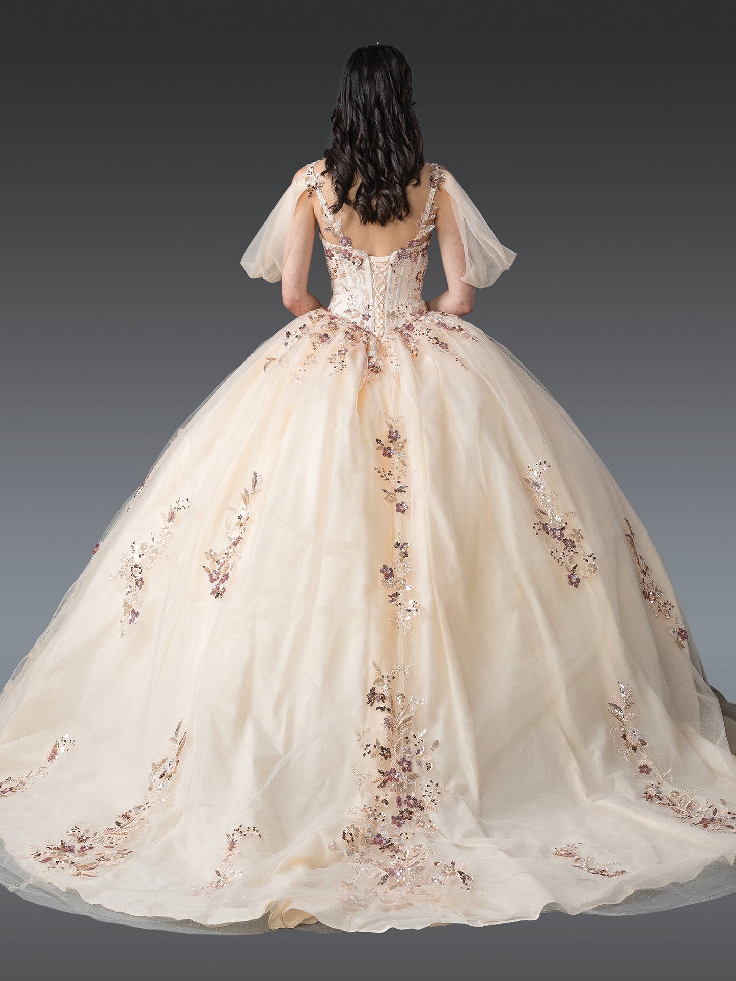 DQ25-1926 V-NECK BALL GOWN QUINCEAÑERA DRESS WITH FLORAL EMBROIDERY AND SHEER PUFFED SLEEVES