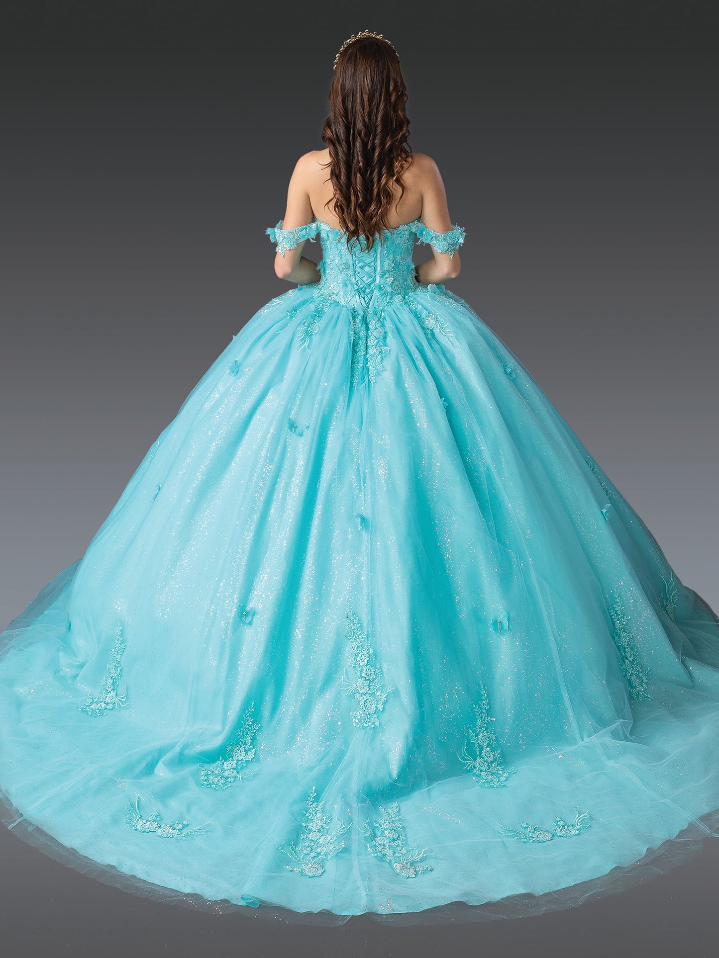 DQ25-1930 ELEGANT OFF-SHOULDER BALL GOWN QUINCEANERA DRESS WITH FLORAL LACE APPLIQUES