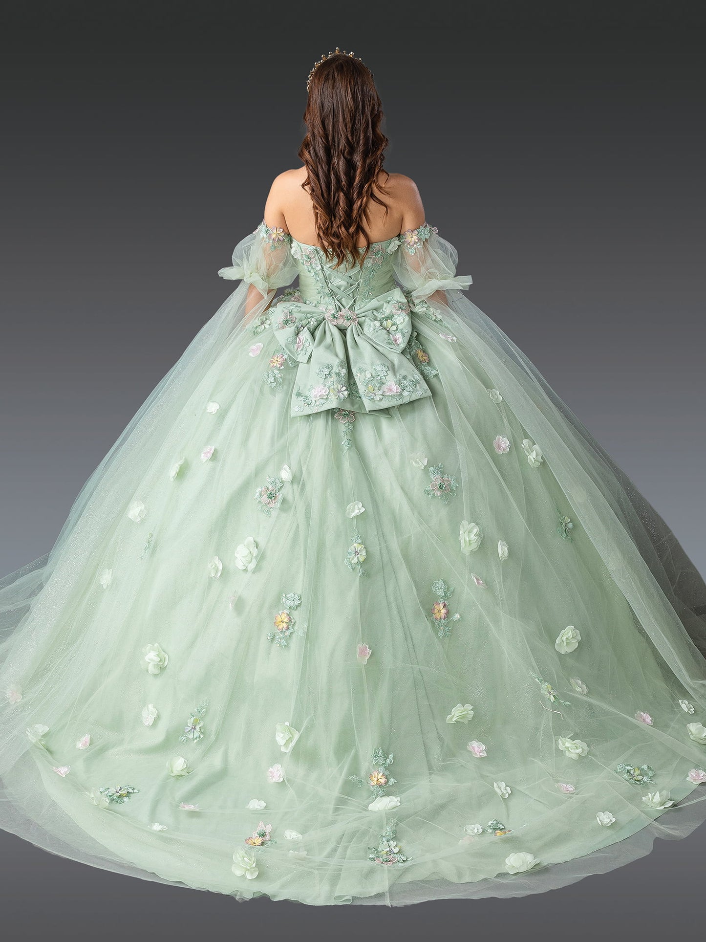 DQ25-1945 FF-SHOULDER BALL GOWN QUINCEANERA DRESS WITH FLORAL EMBELLISHMENTS AND SHEER PUFFED SLEEVES