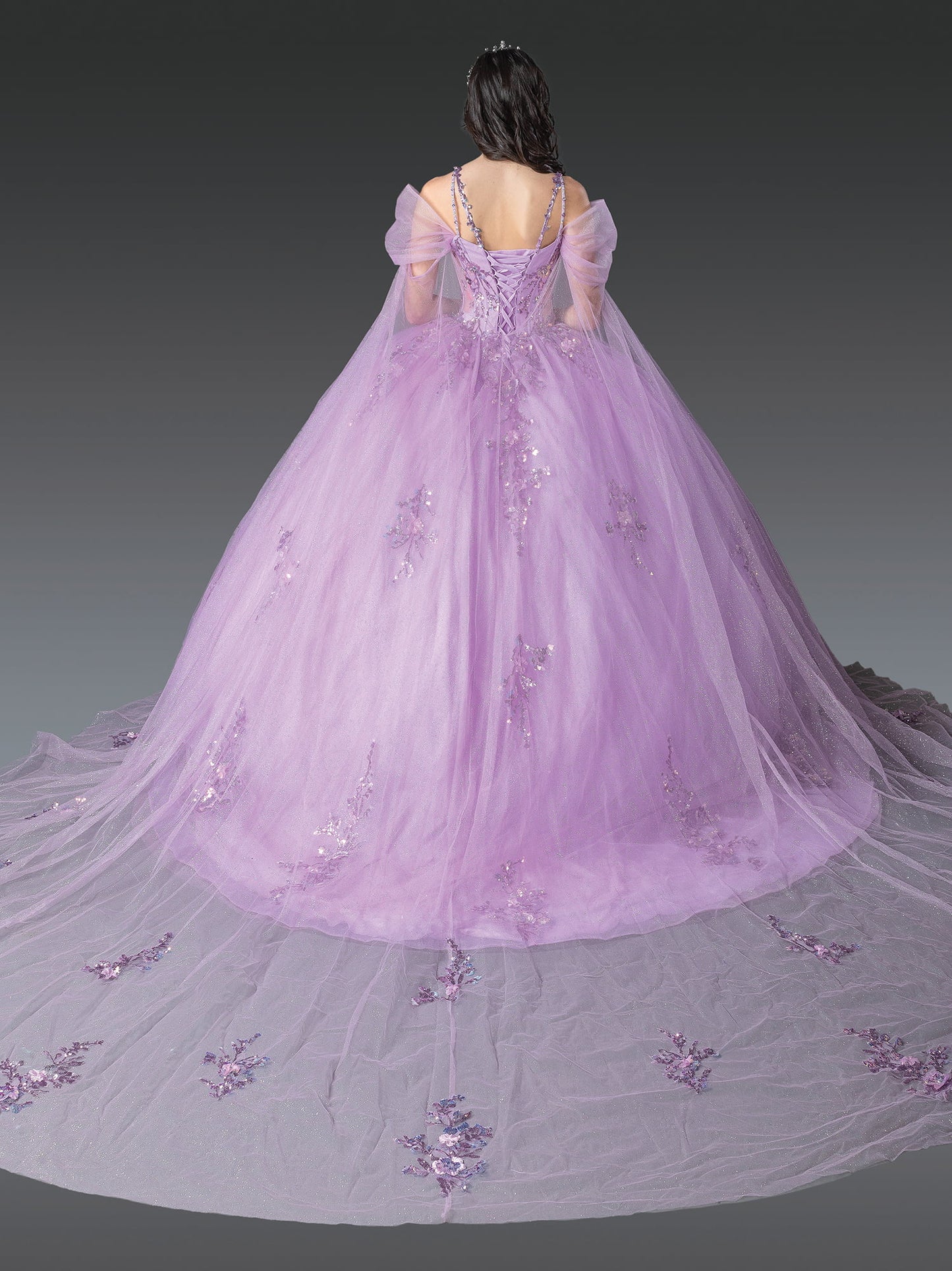 DQ25-1947 QUINCEANERA DRESS WITH SHEER PUFFED SLEEVES AND EMBELLISHED FLORAL APPLIQUES