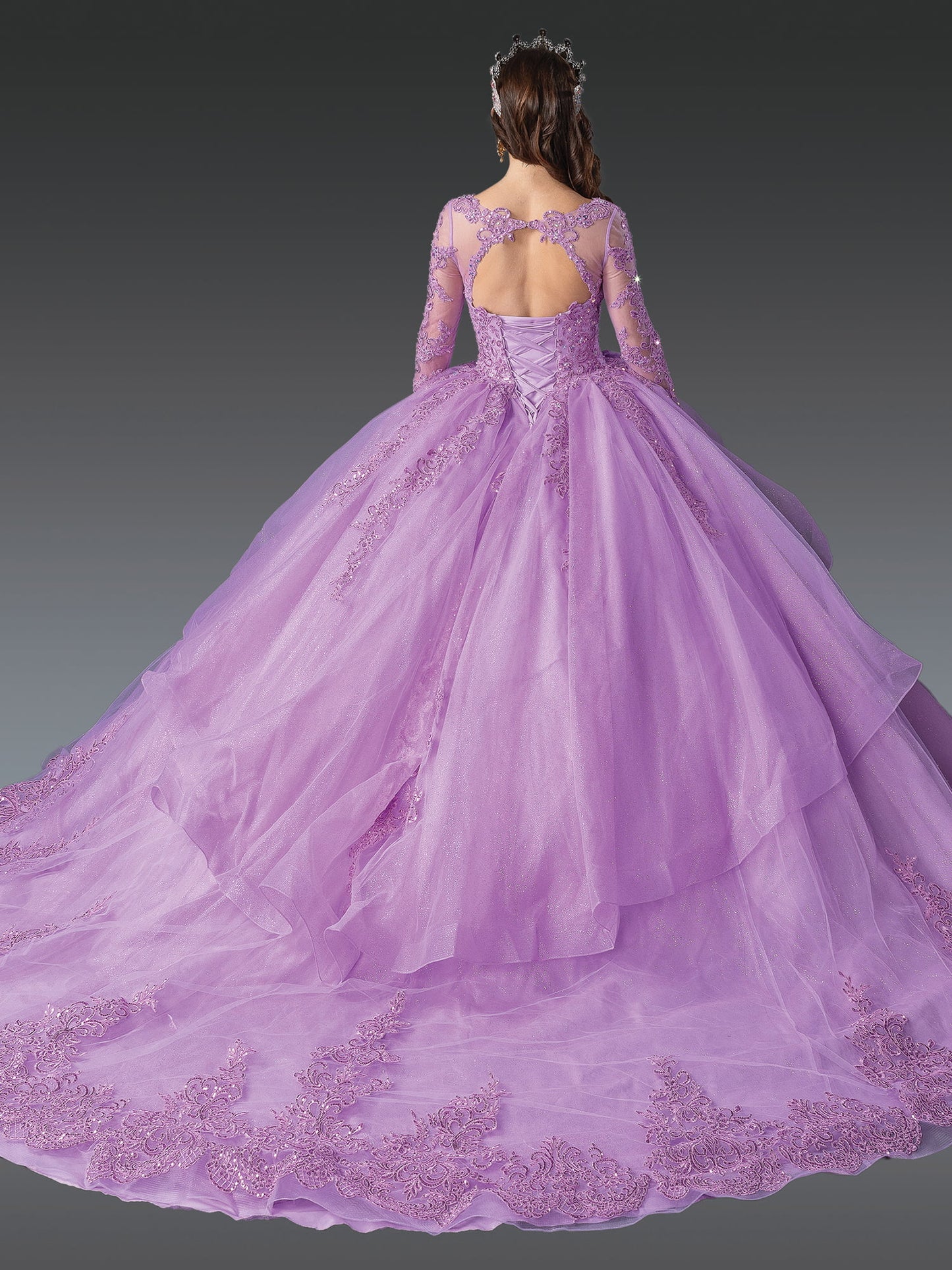 DQ25-1956 QUINCEAÑERA DRESS WITH LONG SLEEVES