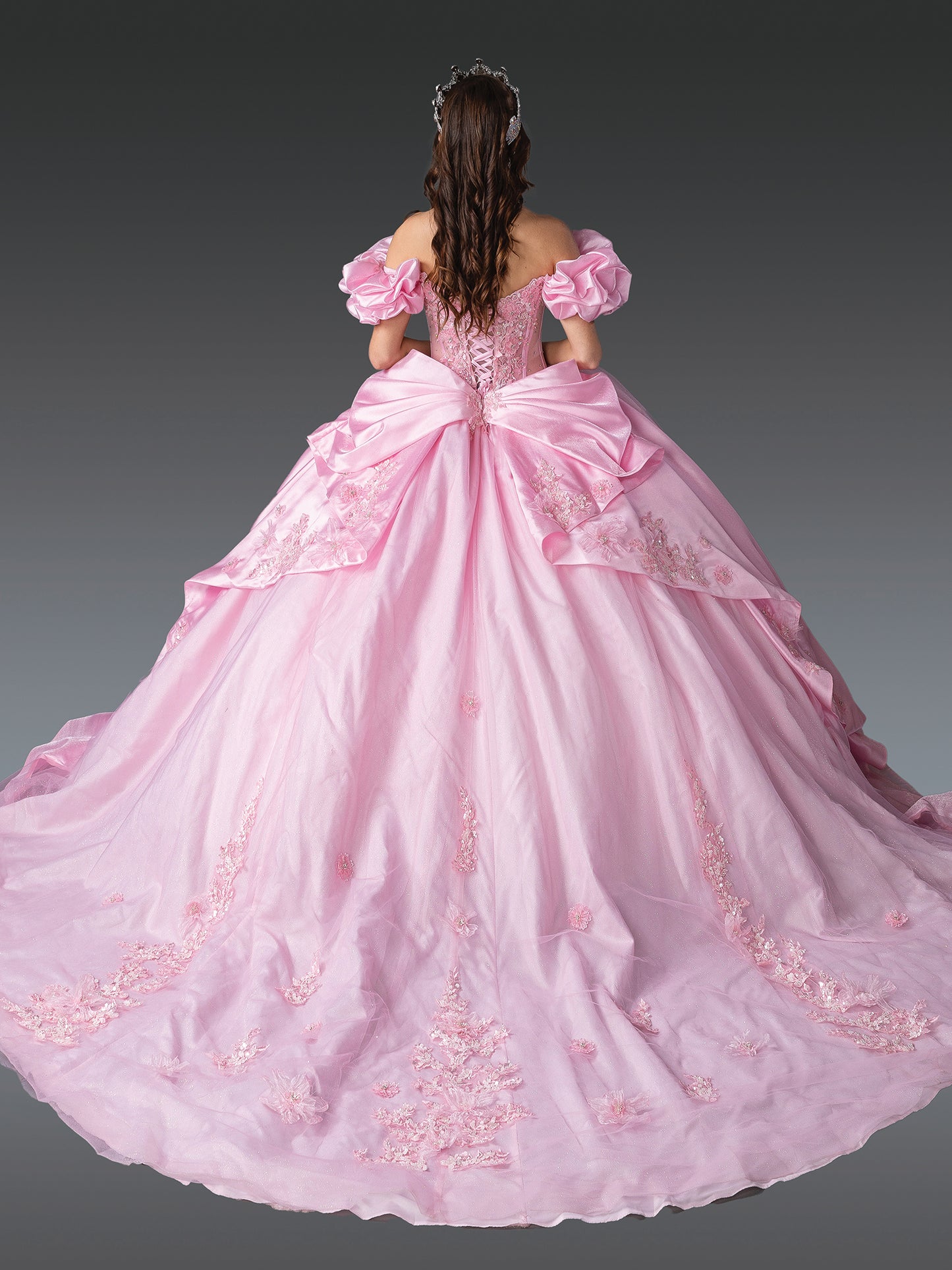 DQ25-1994 ELEGANT BALL GOWN QUINCEANERA DRESS WITH FLORAL EMBROIDERED BODICE