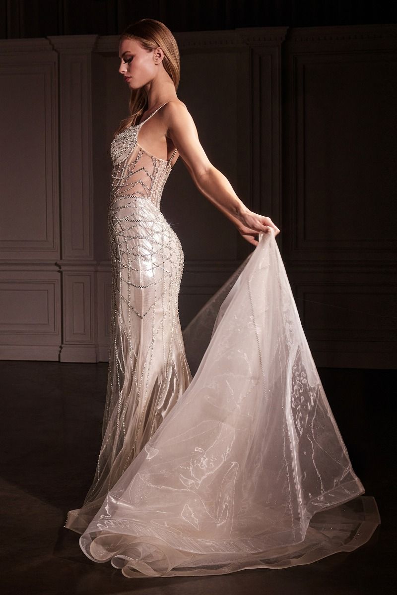 CD25-CD763 FIT & FLARE CRYSTAL EMBELLISHED GOWN & OVERSKIRT