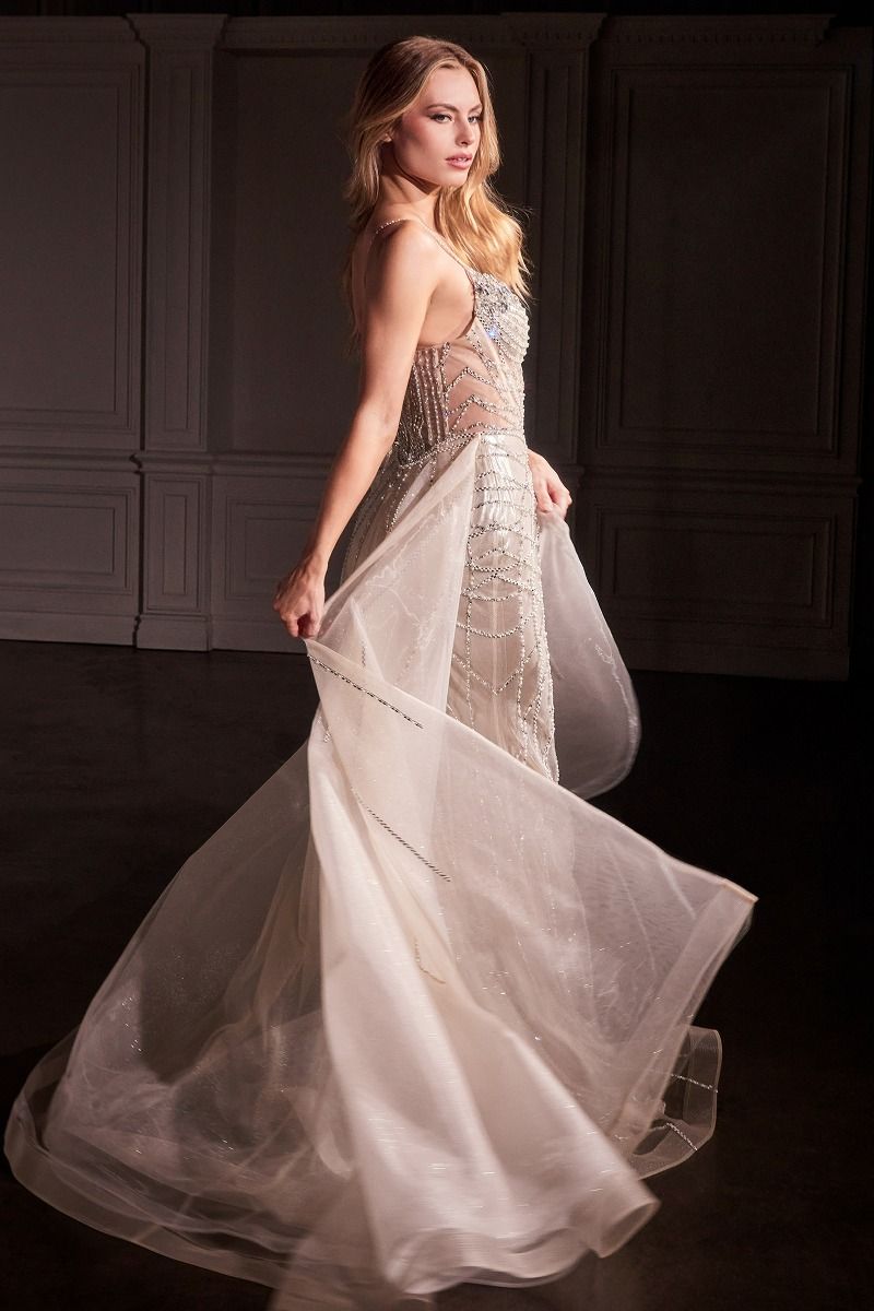 CD25-CD763 FIT & FLARE CRYSTAL EMBELLISHED GOWN & OVERSKIRT
