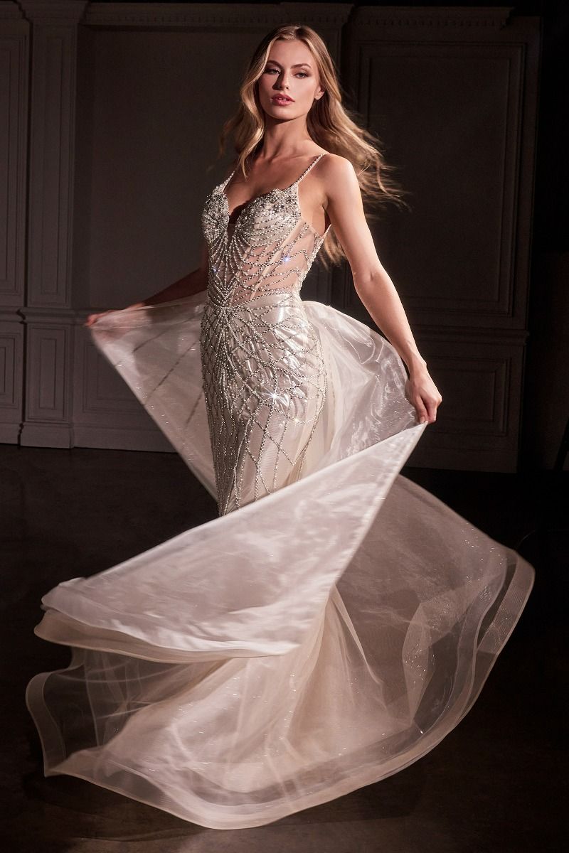 CD25-CD763 FIT & FLARE CRYSTAL EMBELLISHED GOWN & OVERSKIRT