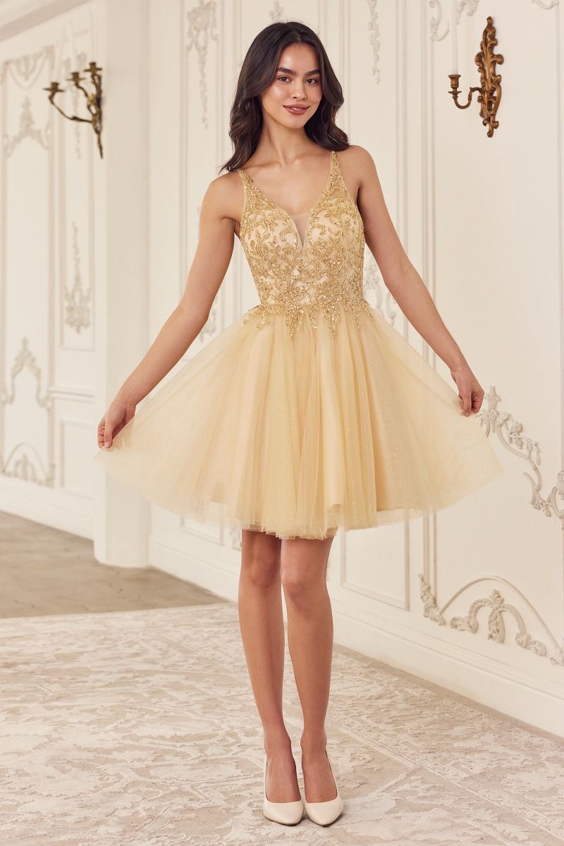 CD25-CY022 BEADED A-LINE LAYERED TULLE SHORT DRESS