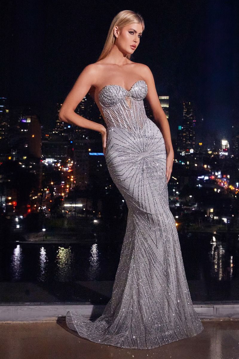 CD24-J871 STRAPLESS SILVER EMBELLISHED GOWN