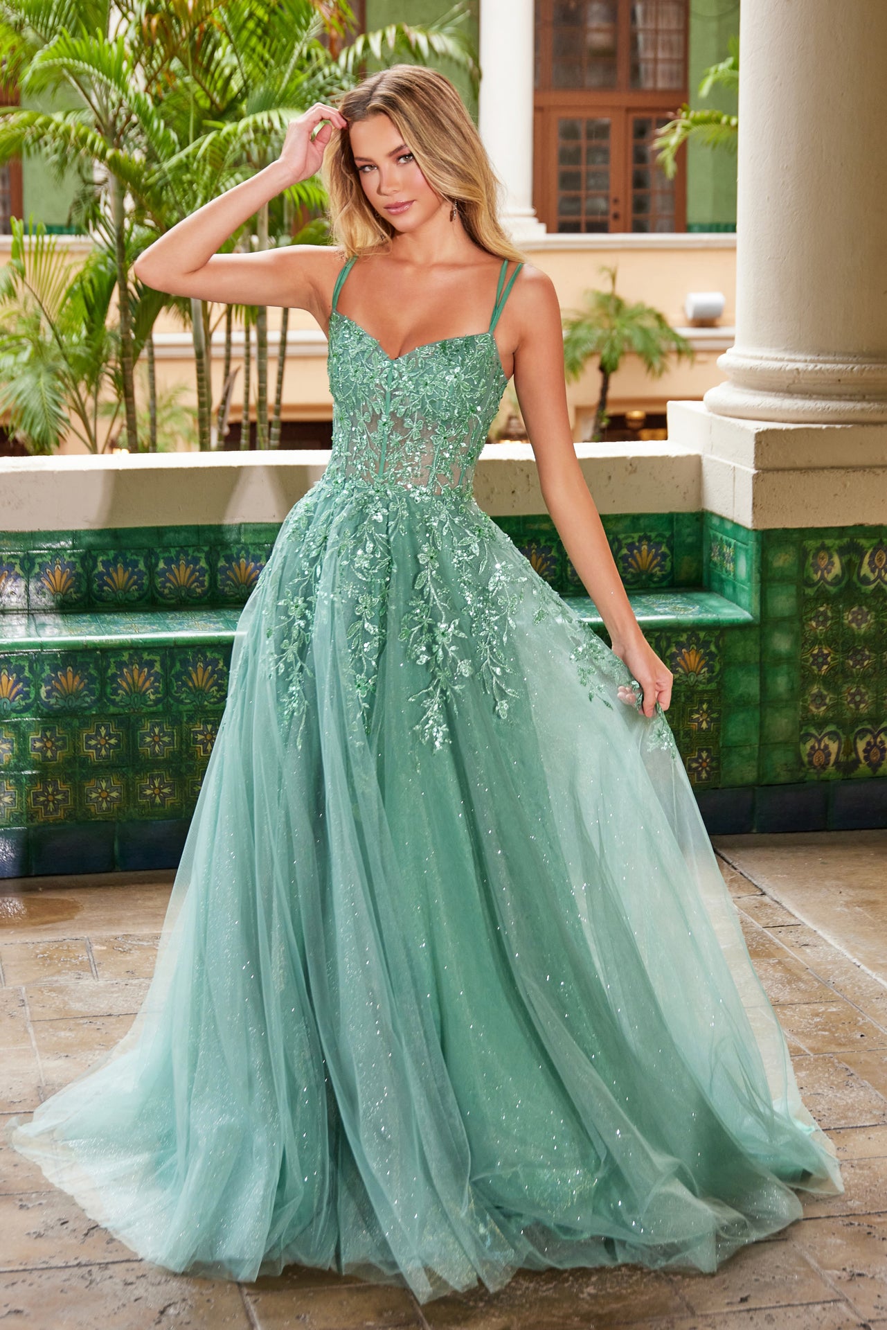 NA25-H1682 LONG A-LINE DRESS WITH A SHEER BONED WAISTLINE EMBROIDERED