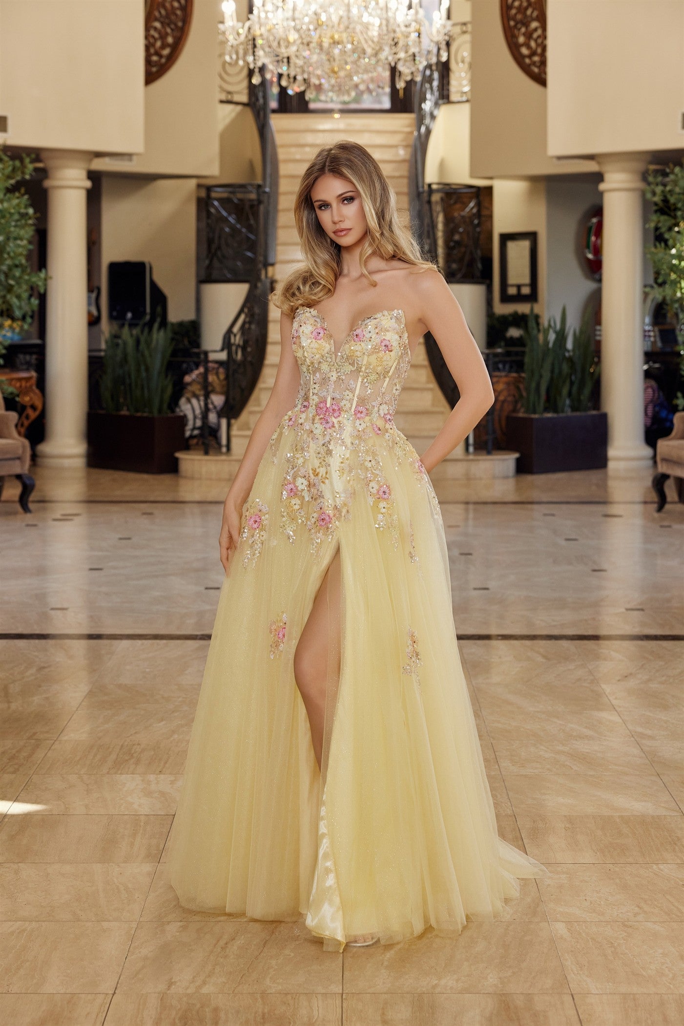 NOX26-Q1773 FIT AND FLARE LONG TULLE GOWN PLUNGING V NECKLINE