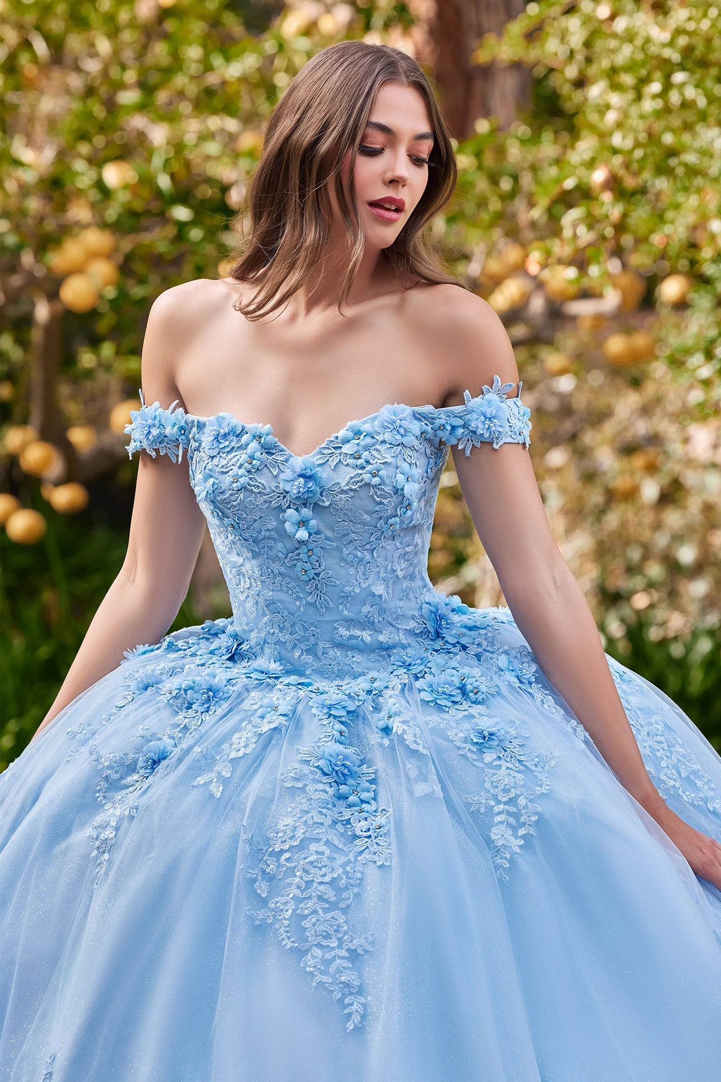 CD24-15702 OFF THE SHOULDER FLORAL QUINCE BALL GOWN