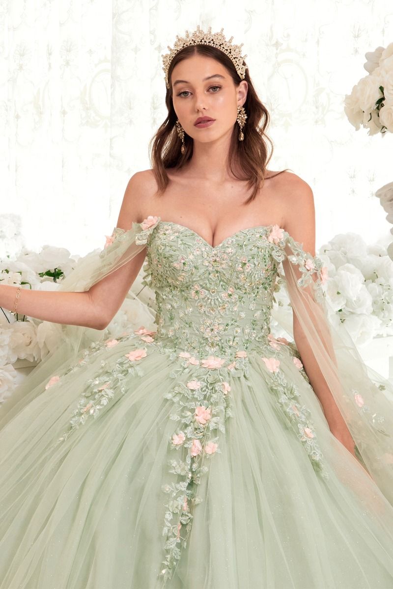 CD24-15716 SAGE BALL GOWN WITH BLUSH FLORAL DETAILS