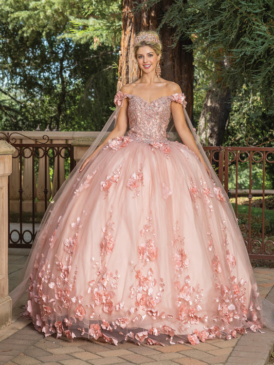 DQ25-1695 EMBROIDERED FLORAL APPLIQUE BALL GOWN WITH SHEER OVERLAY