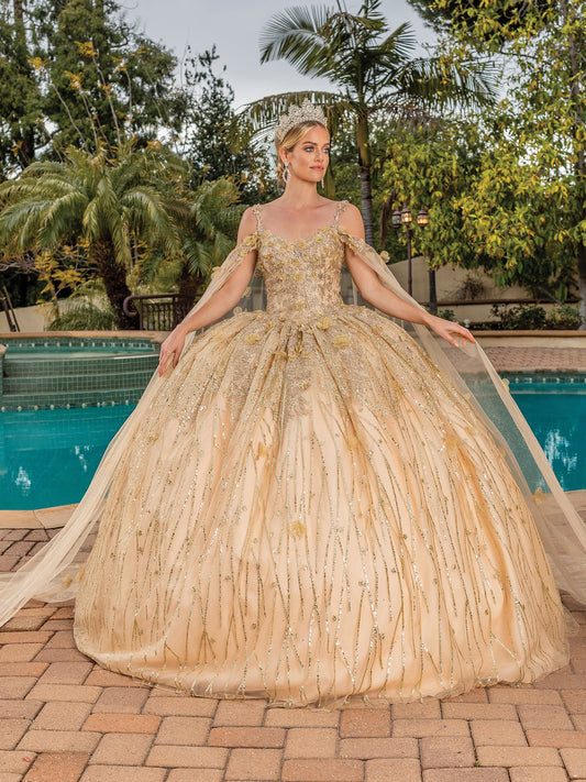 DQ25-1830 EMBROIDERED APPLIQUE BODICE BALL GOWN WITH SHEER SLEEVES