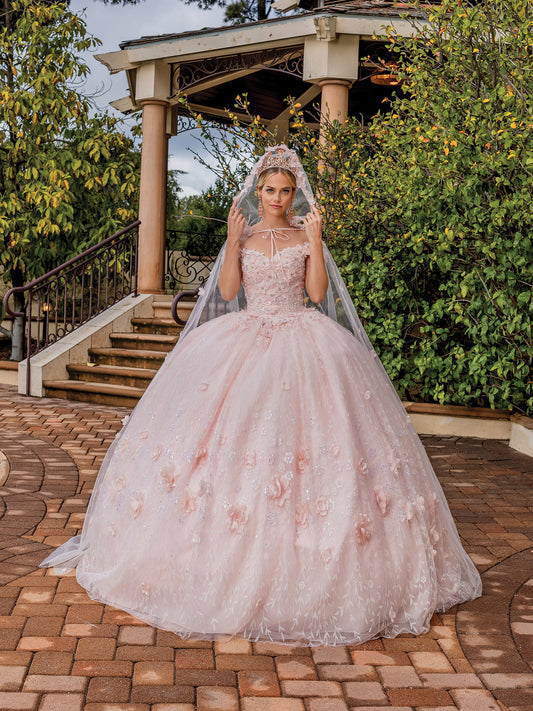 DQ25-1842 FLORAL APPLIQUE EMBELLISHED GOWN WITH SHEER FULL-LENGTH SLEEVES