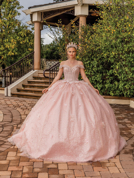 DQ25-1868 OFF-THE-SHOULDER GLITTER TULLE BALLGOWN WITH CORSET BODICE AND FLORAL APPLIQUES
