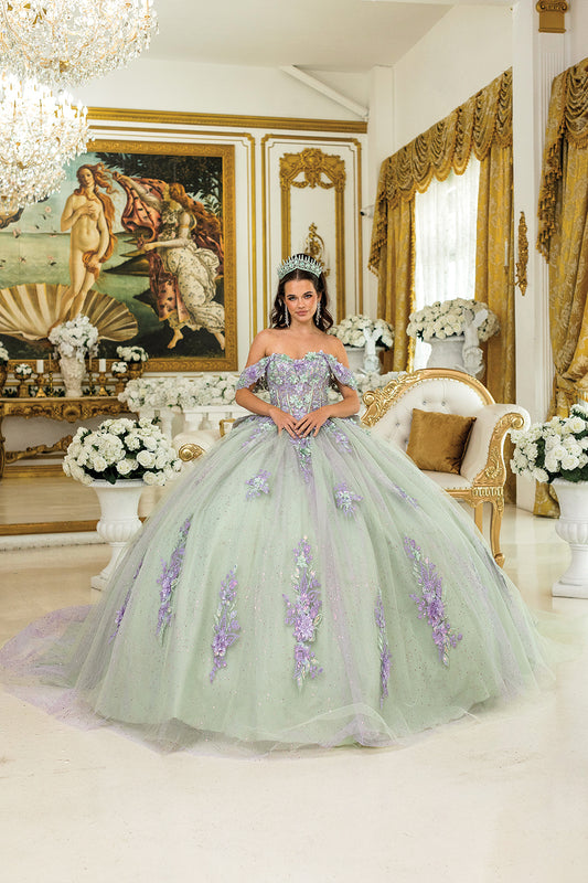 DQ25-5023 QUINCEANERA DRESS WITH OFF-SHOULDER FLORAL APPLIQUES