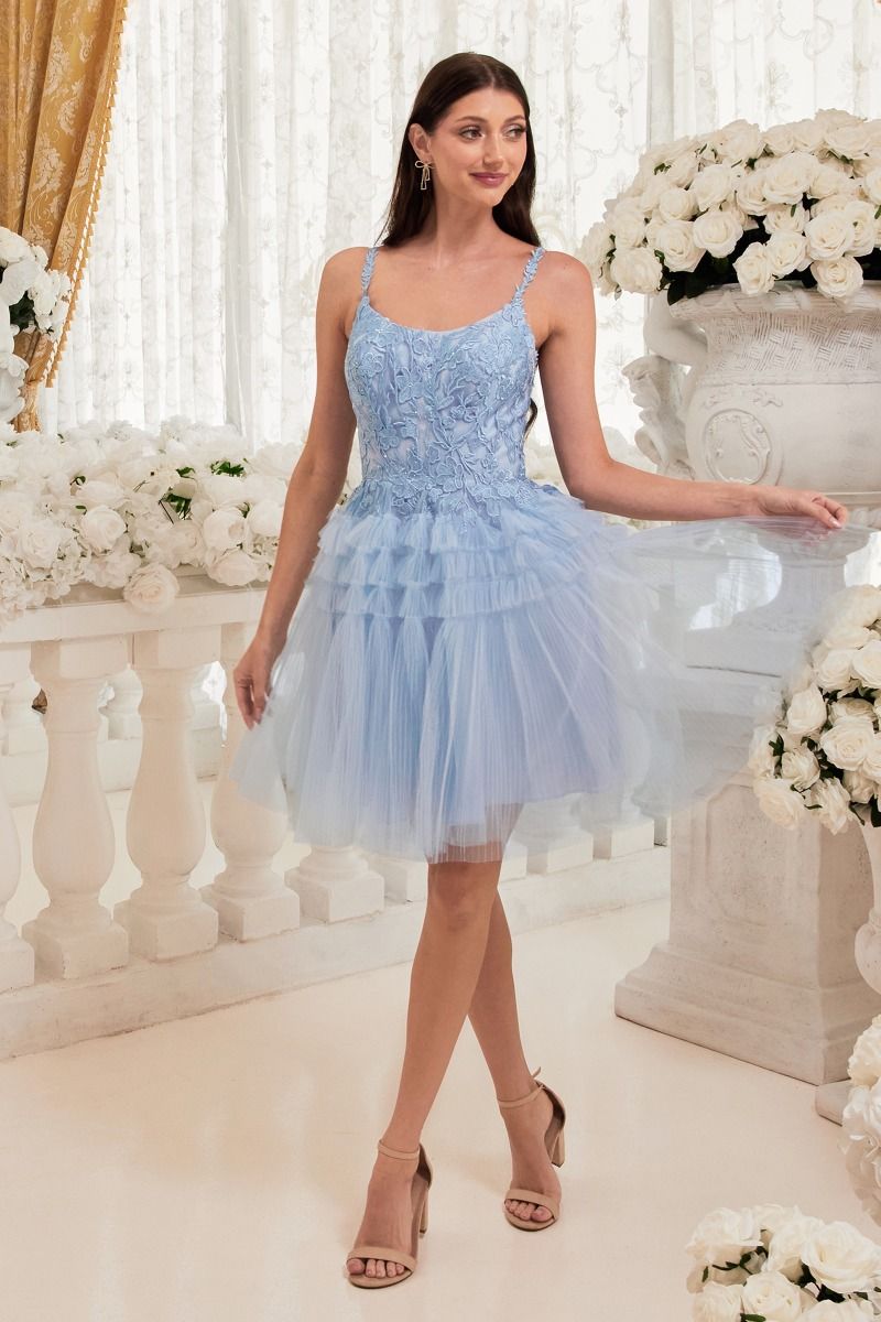 CD24-9310 PLEATED A-LINE SHORT DRESS