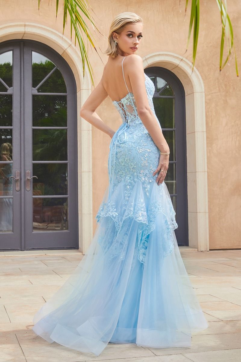 CD24-9316 LACE & TULLE MERMAID GOWN