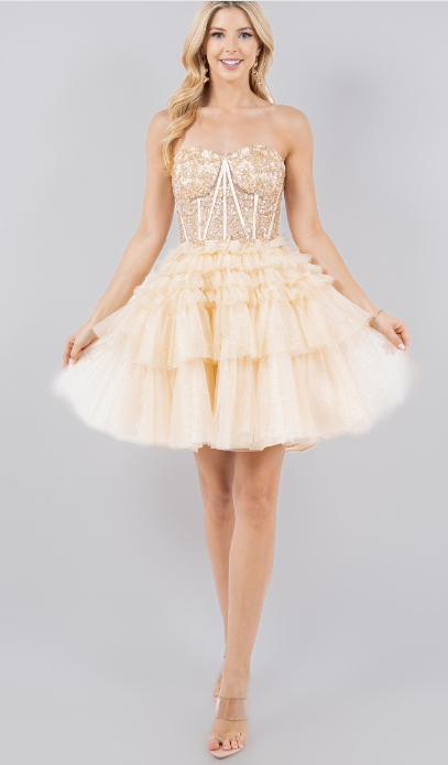 CC24-5133J TULLE TIERS LAYERS RUFFERS SHORT DRESS