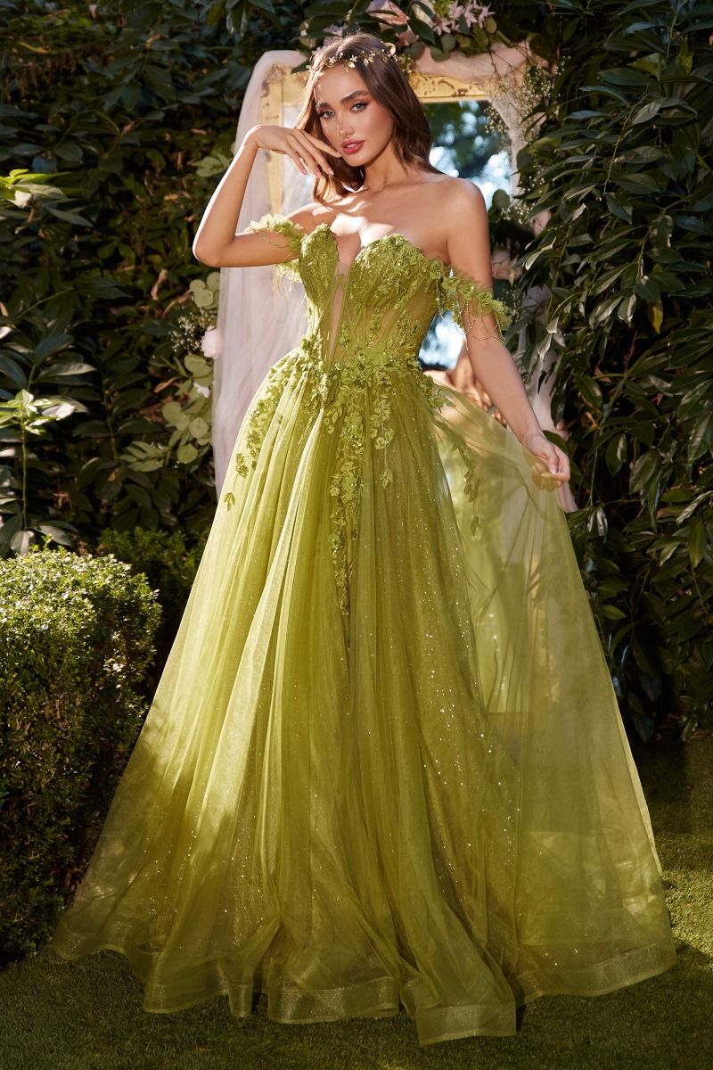 CD24-A1237 OFF THE SHOULDER A-LINE GOWN