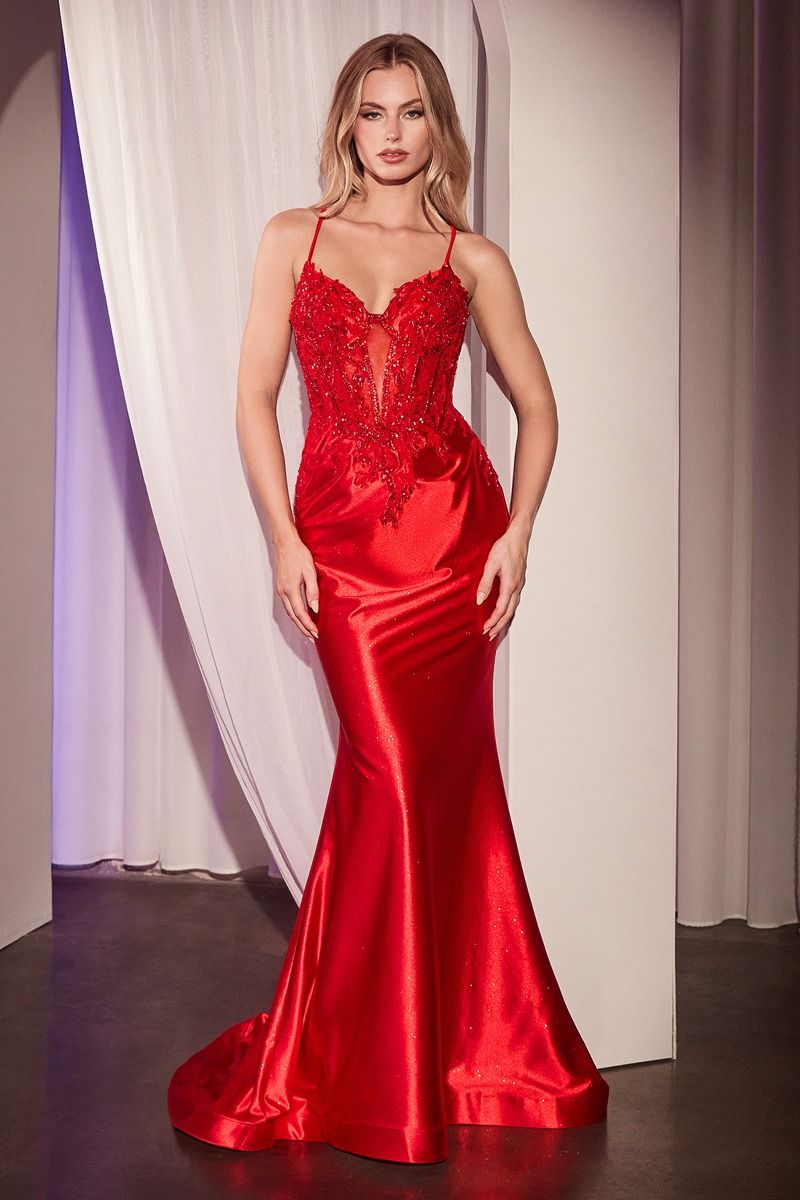 CD25-CC2401 EMBELLISHED LACE & SATIN FITTED GOWN