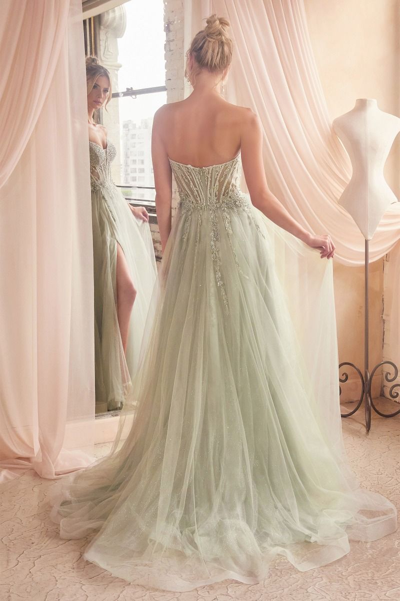 CD24-CD0230 STRAPLESS LAYERED TULLE BALL GOWN