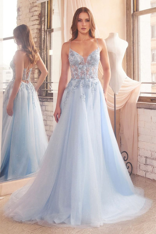 CD24-D553 A-LINE EMBELLISHED TULLE GOWN